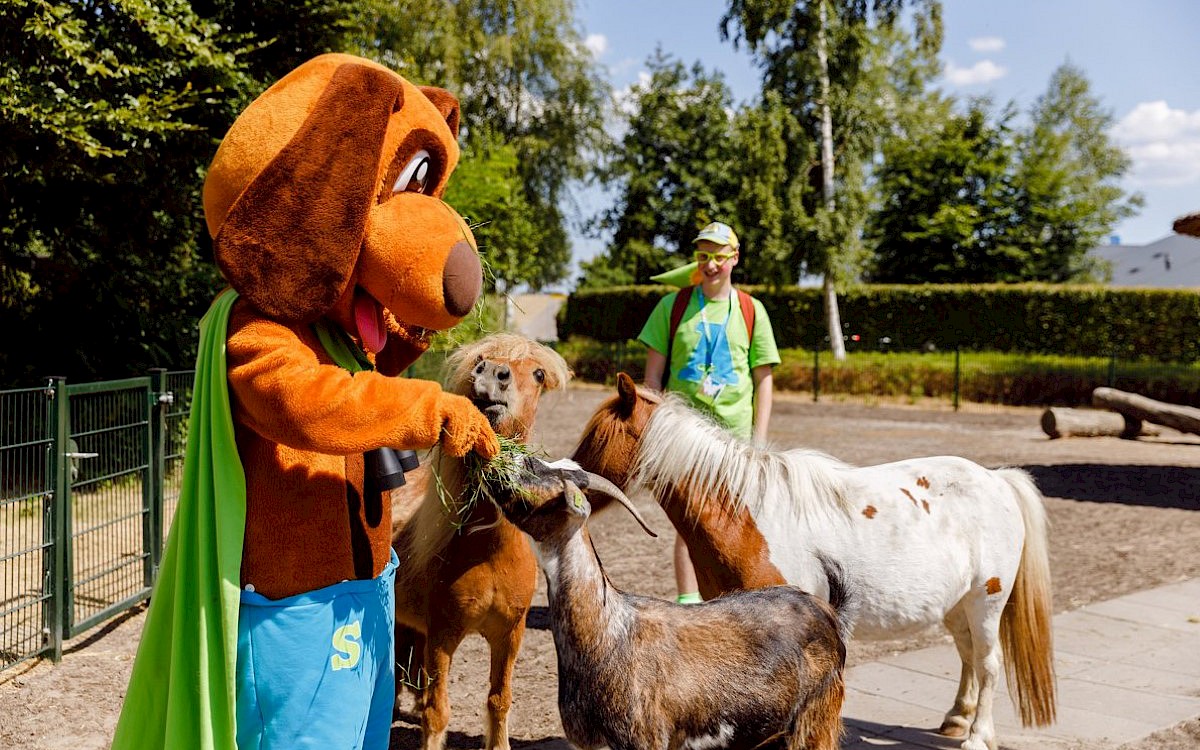 Vakantiepark Zeewolde