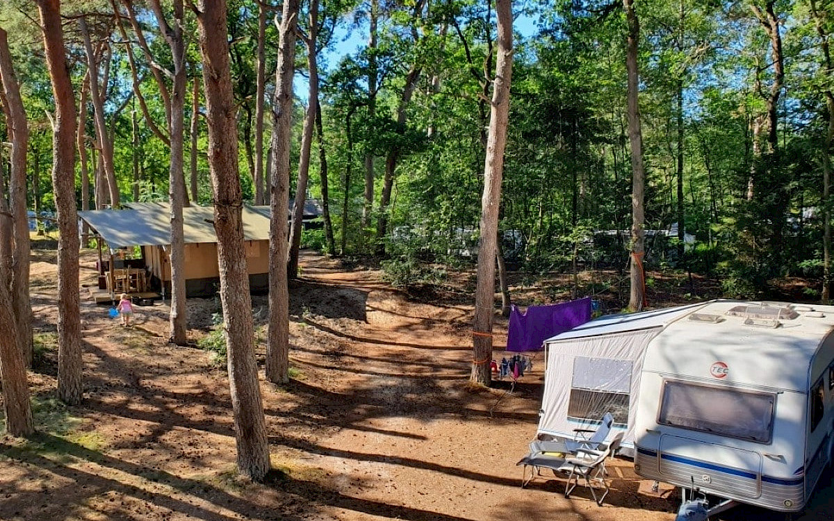 Camping het Horstmannsbos